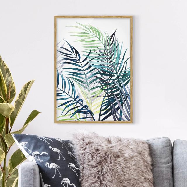 Exotic Foliage - Palm Tree - Picture Frame Painting Bay Isle Home Frame Option: Brown Framed, Size: 40cm H x 30cm W x 2cm D on Productcaster.