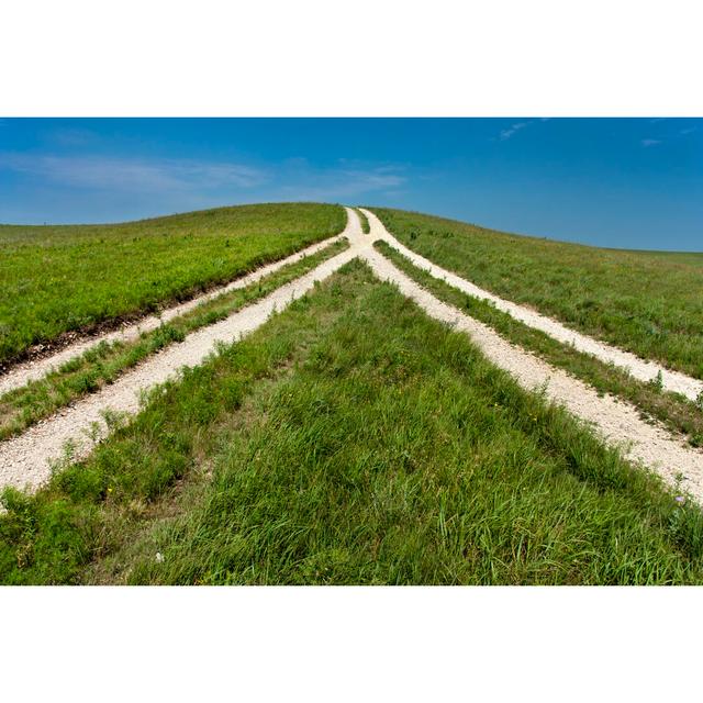 Reversed View Of Fork In The Road Means Coming Together by Ricardoreitmeyer - No Frame Print on Canvas Alpen Home Size: 50cm H x 75cm W on Productcaster.