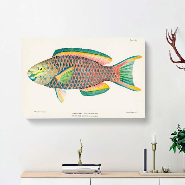 Tropical Fish by Henry Baldwin - Wrapped Canvas Painting Print East Urban Home Size: 35cm H x 50cm W x 3cm D on Productcaster.