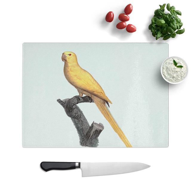 Glass Lutino Parakeet by F. Levaillant Chopping Board East Urban Home Size: 39 cm W x 28.5 cm L on Productcaster.