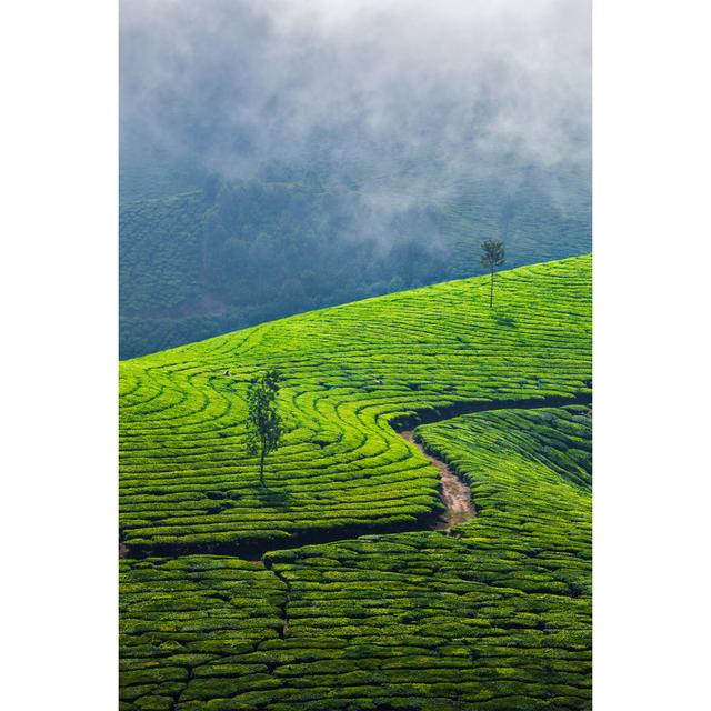 Branstetter Green Tea Plantations - Wrapped Canvas Art Prints Alpen Home Size: 76cm H x 51cm W x 3.8cm D on Productcaster.