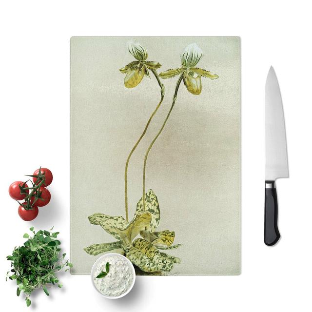 Glass Magnolia Flowers Illustration Tab. 23 by Frederick Sander Chopping Board East Urban Home Size: 39 cm W x 28.5 cm L on Productcaster.