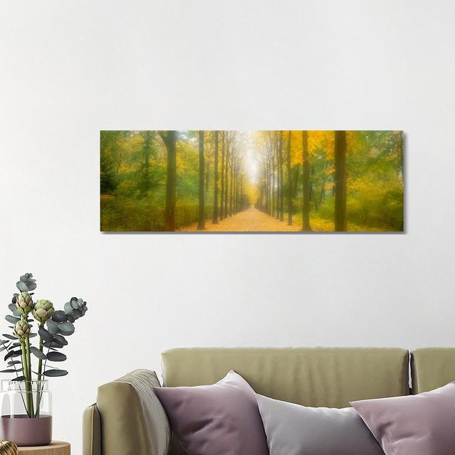 Path Schwetzingen Germany by Panoramic Images - Wrapped Canvas Panoramic Print Union Rustic Size: 40.64cm H x 121.92cm W x 3.81cm D on Productcaster.