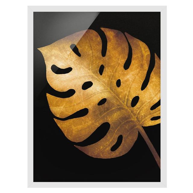 Gold - Monstera on Black - Picture Frame Graphic Art Bay Isle Home Size: 70cm H x 50cm W x 2cm D, Frame Option: White Framed on Productcaster.