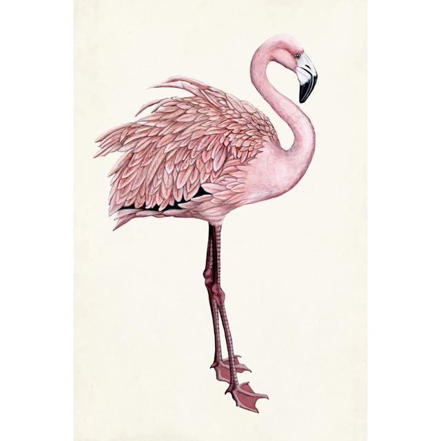 Striking Flamingo I by Naomi McCavitt - Wrapped Canvas Painting Bay Isle Home Size: 30cm H x 20cm W on Productcaster.