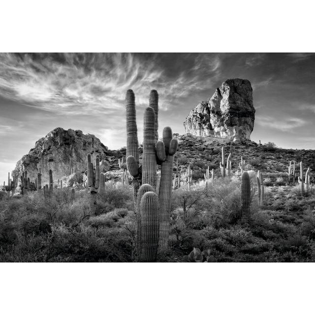 B&W Desert View I by David Drost - Wrapped Canvas Photograph Gracie Oaks Size: 30cm H x 46cm W on Productcaster.