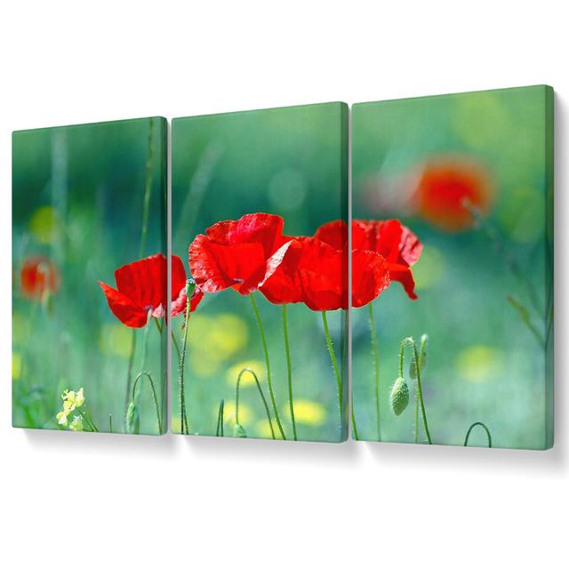 Summer Poppies - 3 Piece Wrapped Canvas Graphic Art Ebern Designs Size: 121.9cm H x 243.8cm W on Productcaster.