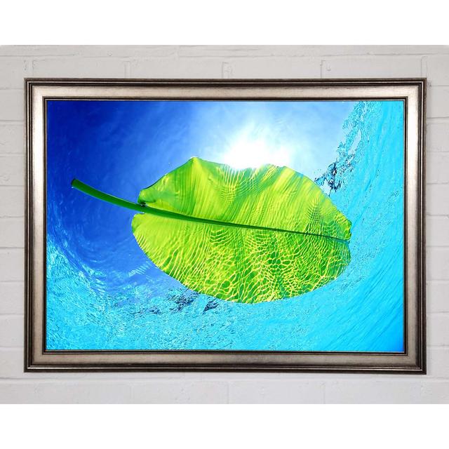 Blue Waters Of A Green Leaf - Single Picture Frame Art Prints Ebern Designs Size: 42cm H x 59.7cm W x 1.5cm D on Productcaster.