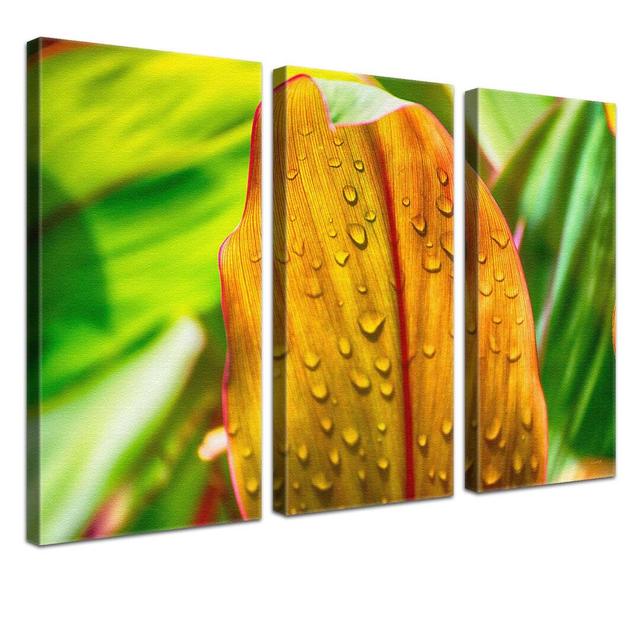 Chlorophyll 3 Piece Photographic Print on Canvas Set East Urban Home Size: 100cm H x 150cm W x 2cm D on Productcaster.