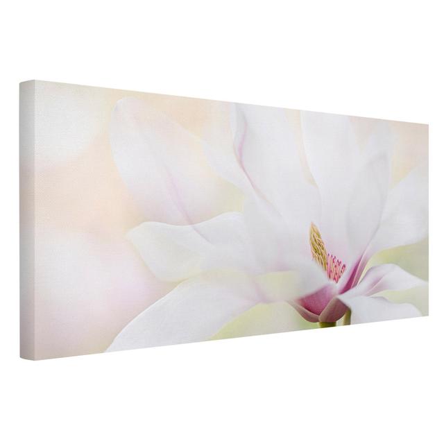 Delicate Magnolia Blossom - Wrapped Canvas Photograph Ebern Designs Frame Option: Pink, Format: 330g/m³ recycled canvas, Size: 30cm H x 60cm W on Productcaster.