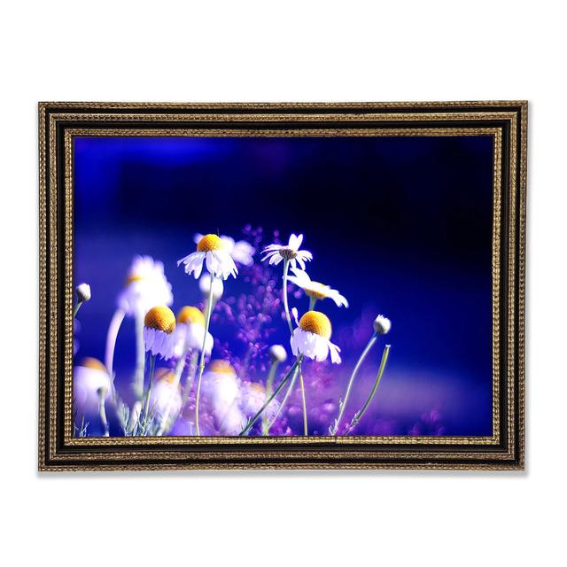 Single Picture Frame Art Prints Ebern Designs Size: 42cm H x 59.7cm W on Productcaster.