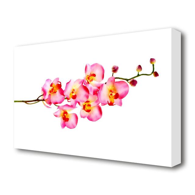 Orchid Stem Beauty Flowers Canvas Print Wall Art East Urban Home Size: 35.6 cm H x 50.8 cm W on Productcaster.