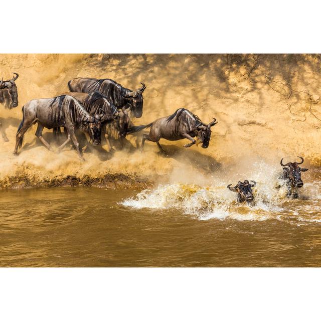 Wildebeest Migration In Kenya by 1001slide - Print Wall Art Production Network Size: 61cm H x 91cm W x 3.8cm D on Productcaster.