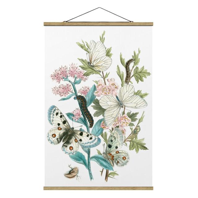 British Butterflies I - Graphic Art Print Rosalind Wheeler Size: 150cm H x 100cm W x 0.3cm D on Productcaster.