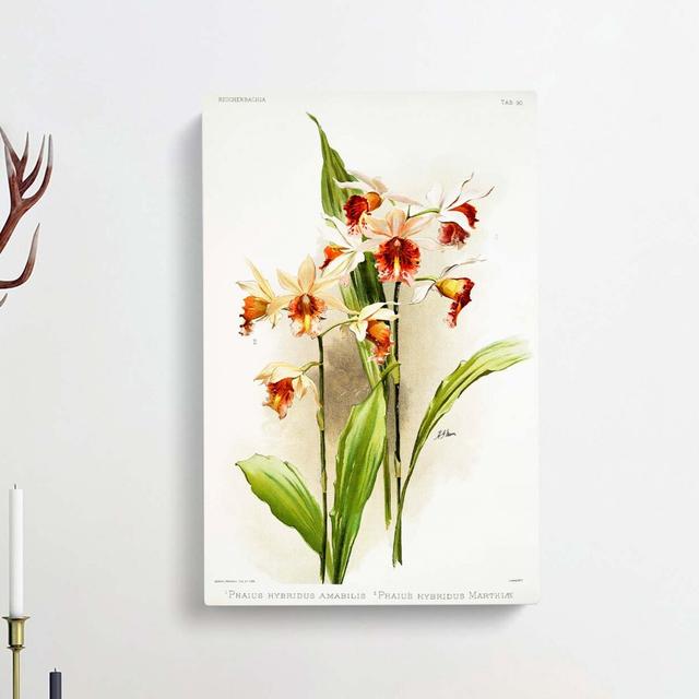 Magnolia Flowers Illustration Tab. 90 by Frederick Sander - Wrapped Canvas Graphic Art Print East Urban Home Size: 76cm H x 50cm W x 3cm D on Productcaster.