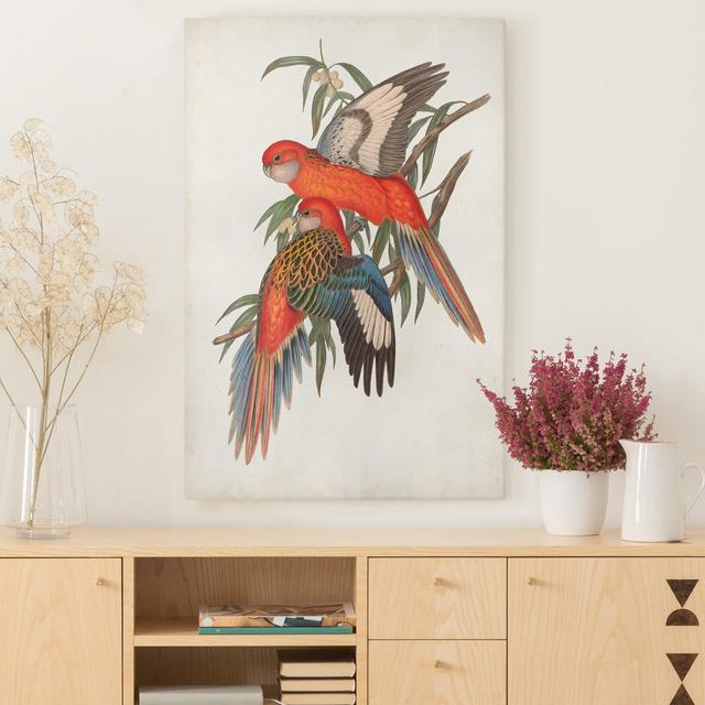 Leinwandbild Tropical Parrots I Sansibar Home Format: 330g/m³ recycelte Canvas, Größe: 60 cm H x 40 cm B on Productcaster.