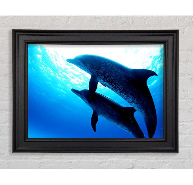 Dolphins Under The Sea Framed Print Highland Dunes Size: 59.7cm H x 84.1cm W on Productcaster.