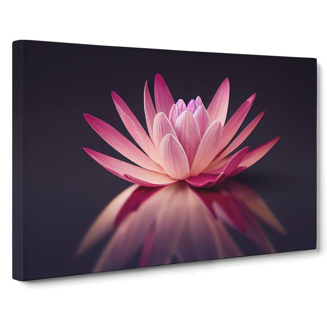 Captivating Water Lily Flower - Wrapped Canvas Photograph 17 Stories Size: 50cm H x 76cm W x 3cm D on Productcaster.