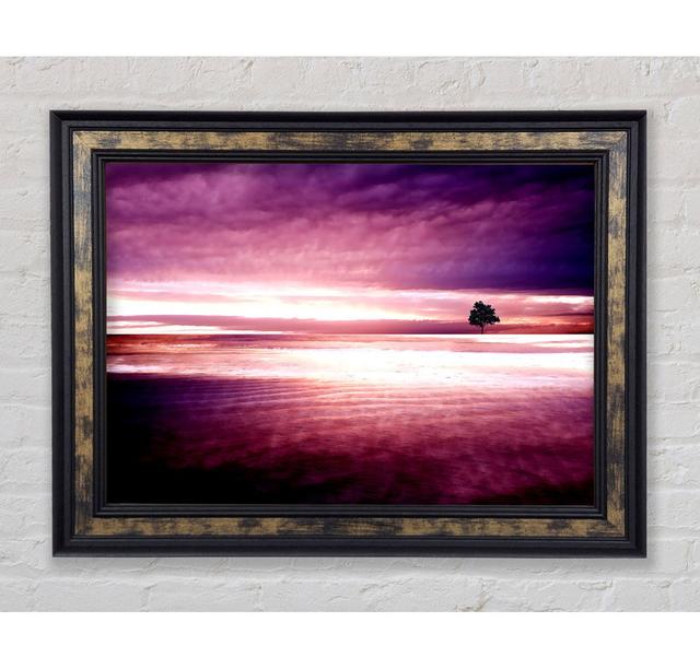 Purple Nature - Print Bright Star Size: 42cm H x 59.7cm W x 8cm D on Productcaster.