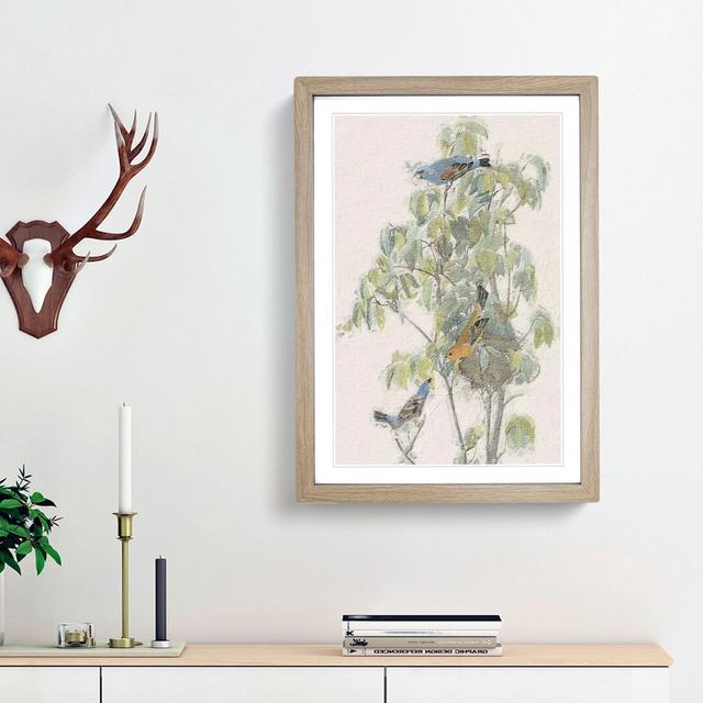 Blue Grosbeak Birds by John James Audubon - Picture Frame Painting Print East Urban Home Frame Option: Oak Framed, Size: 65cm H x 48cm W x 2cm D on Productcaster.