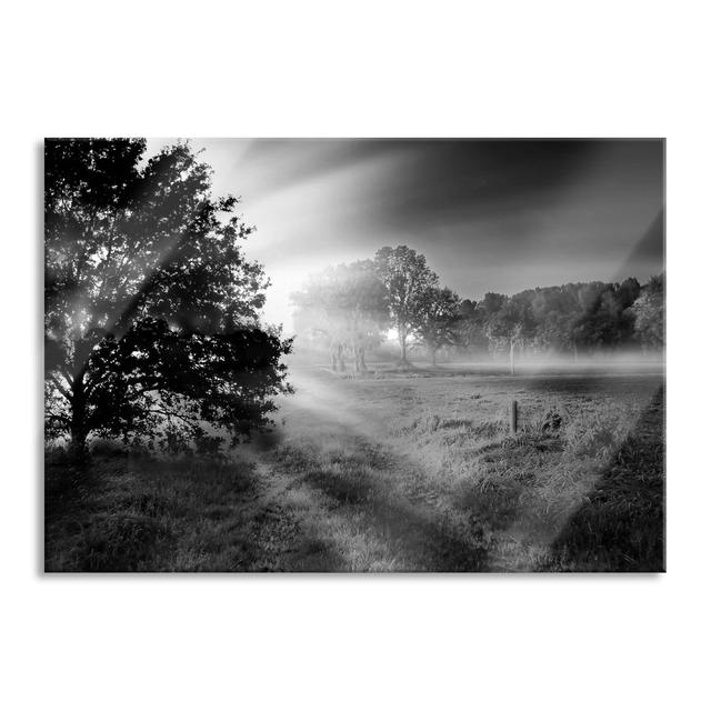 Beautiful clearing in the forest - Unframed Photograph on Glass Union Rustic Size: 70cm H x 100cm W on Productcaster.