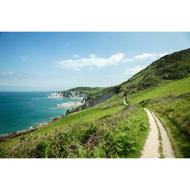 South West Coastal Pathway - Wrapped Canvas Photograph Alpen Home Size: 51cm H x 76cm W x 3.8cm D on Productcaster.