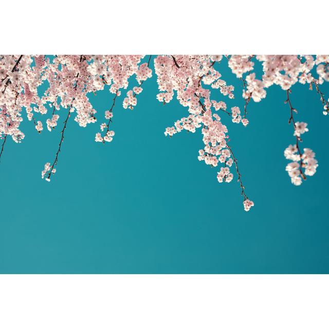 Cherry Tree In Bloom by Borchee - No Frame Print on Canvas 17 Stories Size: 81cm H x 122cm W on Productcaster.