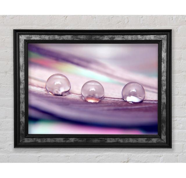 Three Water Drops - Picture Frame Art Prints Bright Star Size: 21cm H x 42cm W x 8cm D on Productcaster.