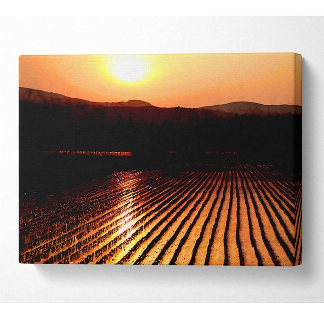 Sunset Over The Wheatfield - Print Alpen Home Size: 50.8cm H x 81.3cm W x 10cm D on Productcaster.