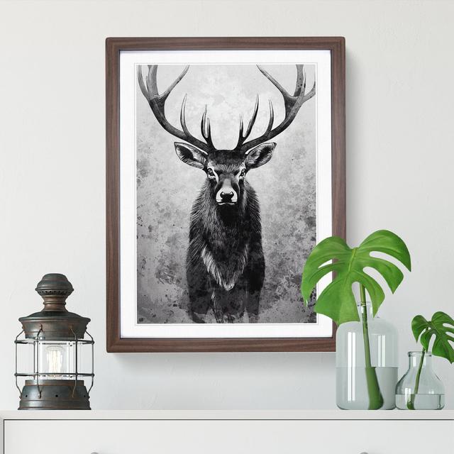 View of the Stag No.2 - Picture Frame Graphic Art Alpen Home Size: 64cm H x 46cm W, Frame Colour: Walnut on Productcaster.