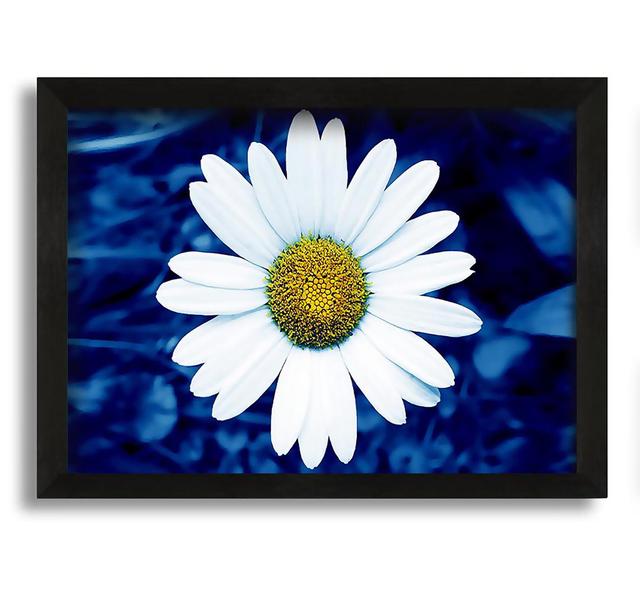 White Daisy Face on Blue - Picture Frame Graphic Art on Canvas Brayden Studio on Productcaster.