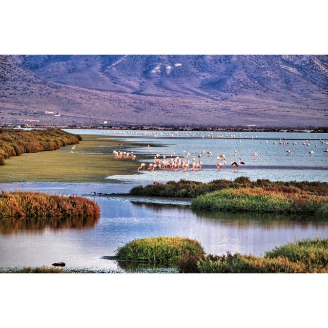 Brundage Cabo De Gata - Wrapped Canvas Print Latitude Run Size: 81cm H x 122cm W x 3.8cm D on Productcaster.