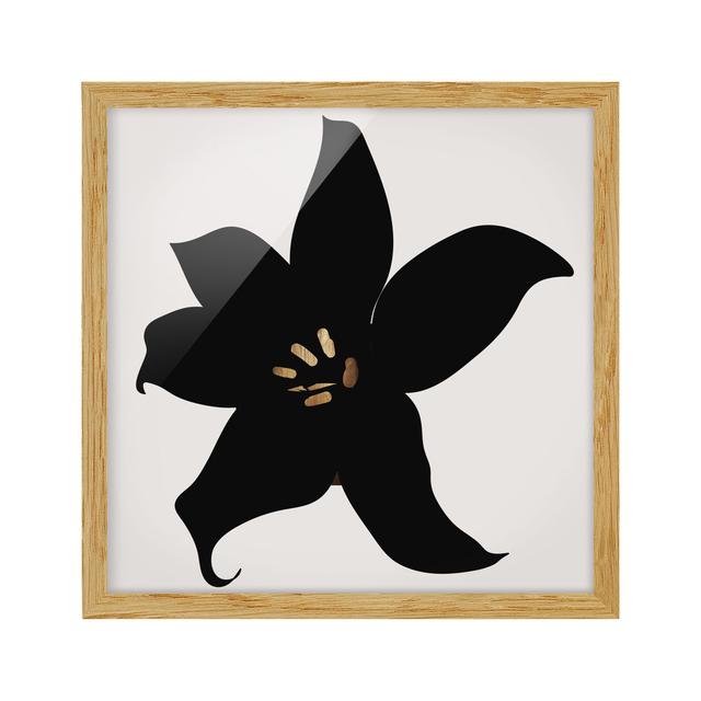 Plant World - Orchid Black And Gold - Single Picture Frame Print Rosalind Wheeler Size: 70cm H x 70cm W x 2cm D, Format: Brown, Matte Colour: No Matte on Productcaster.