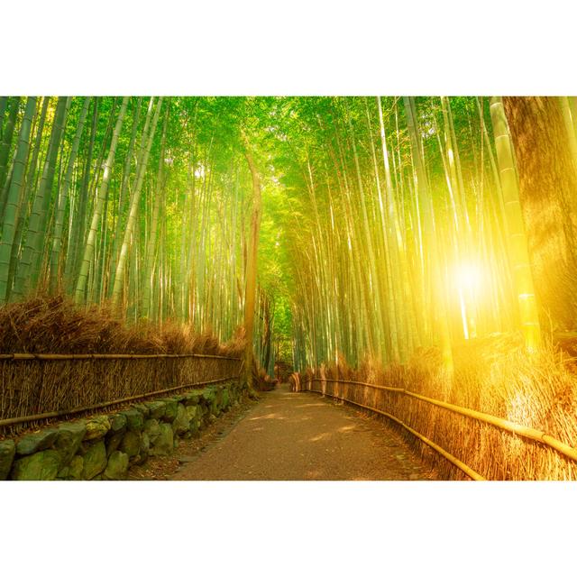 Calpella Calpella Bamboo Grove, Arashiyama, Kyoto - Wrapped Canvas Photograph Bay Isle Home Size: 51cm H x 76cm W x 3.8cm D on Productcaster.