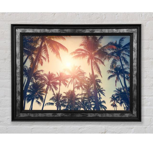 Palm Tree Haze 1 Framed Print Bright Star Size: 21cm H x 42cm W x 8cm D on Productcaster.