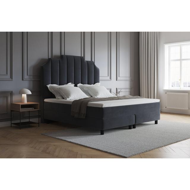 Echtes Boxspringbett Adelline mit Premium Visco Topper, mit Samtstoff bezogen Canora Grey Farbe: Fernblau, Matratzenhärte: H2 - bis zu ca. 75 kg / H3 on Productcaster.