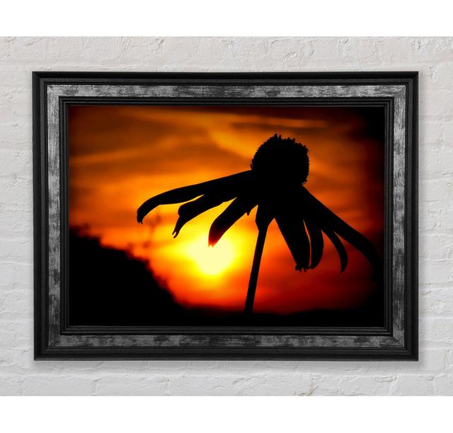 Sun Behind The Flower - Single Picture Frame Art Prints Bright Star Size: 21cm H x 42cm W x 8cm D on Productcaster.