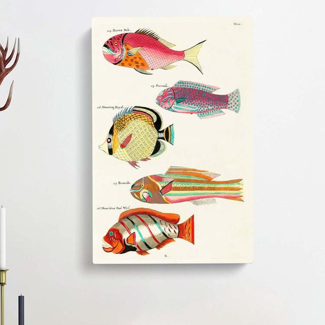 East Indies Fish Illustrations Fol. 21 by Louis Renard - Wrapped Canvas Painting East Urban Home Size: 50cm H x 35cm W x 3cm D on Productcaster.