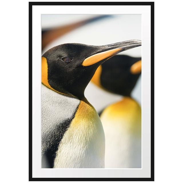 Gerahmtes Poster Pinguine East Urban Home Größe: 100 cm H x 70 cm B on Productcaster.