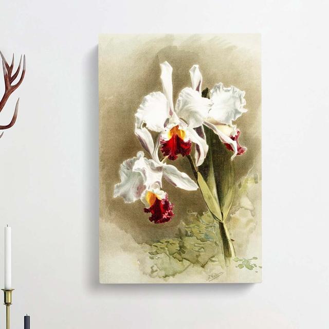 Magnolia Flowers Illustration Tab. 28 by Frederick Sander - Wrapped Canvas Graphic Art Print East Urban Home Size: 60cm H x 40cm W x 3cm D on Productcaster.