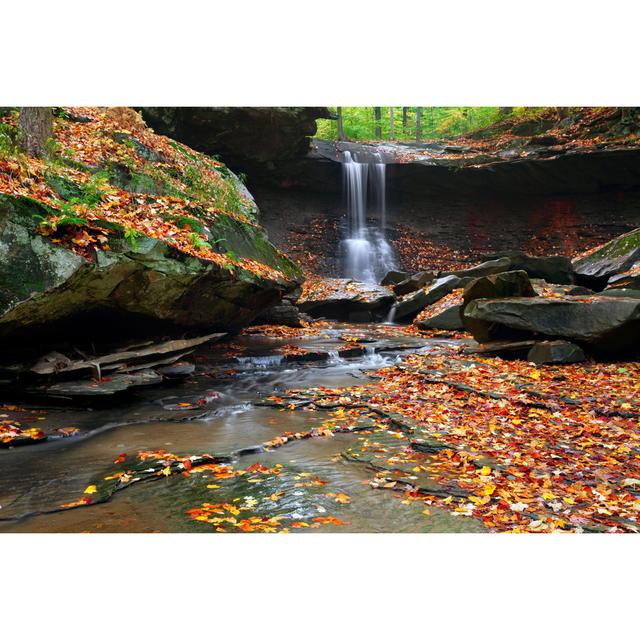 Lacour Blue Hen Falls - Wrapped Canvas Print Alpen Home Size: 81cm H x 122cm W x 3.8cm D on Productcaster.