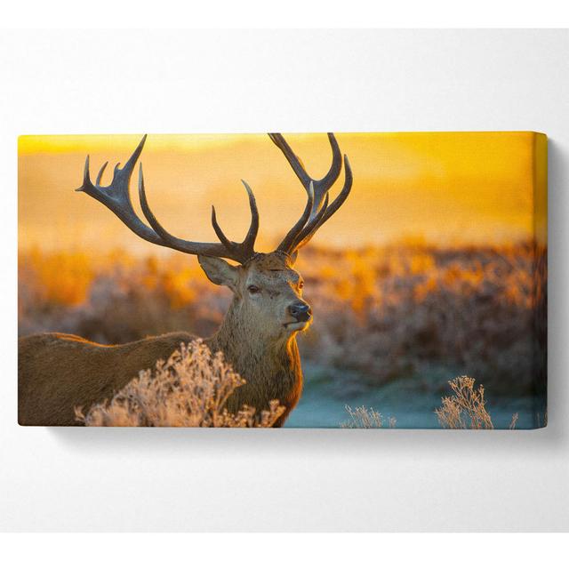 Shae Crisp Winters Stag - Wrapped Canvas Art Prints Union Rustic Size: 101.6cm H x 203.2cm W x 1cm D on Productcaster.