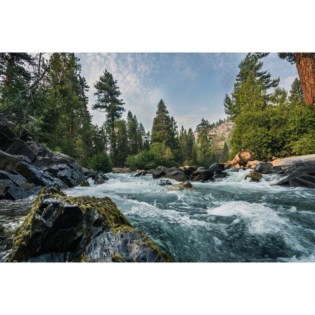 Stanislaus Forest by Andrew Fane - Wrapped Canvas Print Alpen Home Size: 20cm H x 30cm W x 3.8cm D on Productcaster.