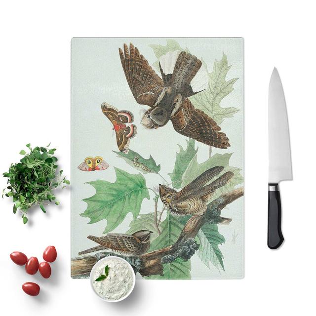 Tempered Glass Whip-Poor-Will Birds and Butterflies by John James Audubon Chopping Board East Urban Home Size: 28.5 cm W x 39 cm L on Productcaster.