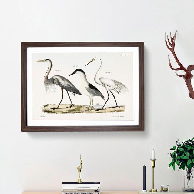 Three Herons by J.E. De Kay - Picture Frame Painting Print East Urban Home Size: 27cm H x 36cm W x 2cm D, Frame Option: Black Framed on Productcaster.