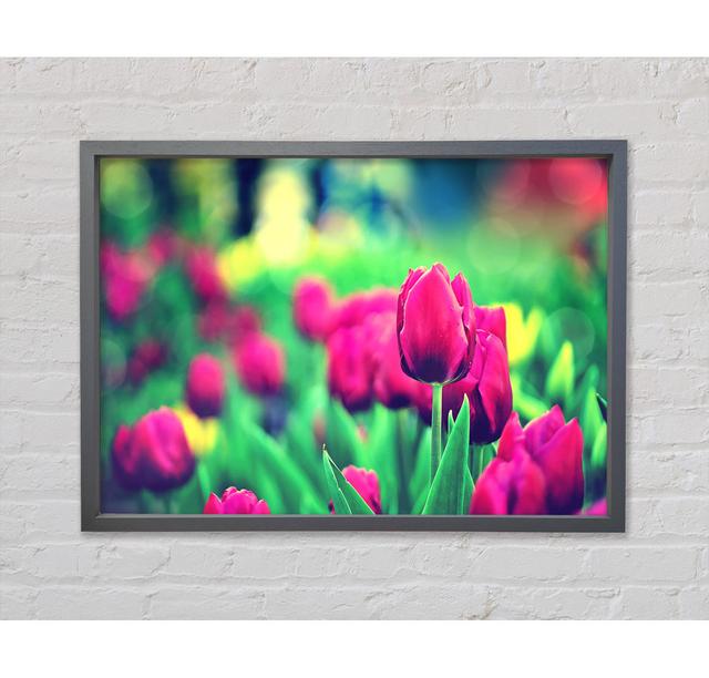 Cerise Tulip Garden - Druck Ebern Designs Format: Dunkelgrau gerahmte Leinwand, Größe: 59,7 cm H x 84,1 cm B x 3,3 cm T on Productcaster.