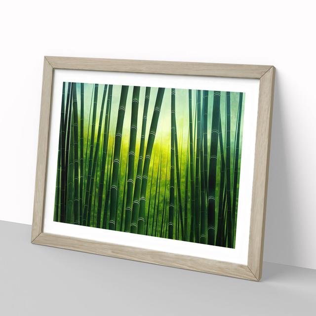 Cute Bamboo Forest - Picture Frame Painting Bay Isle Home Size: 46cm H x 64cm W x 2cm D, Frame Colour: Oak on Productcaster.