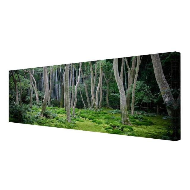 Japanese Forest Photographic Print on Canvas East Urban Home Size: 150cm L x 50cm W on Productcaster.