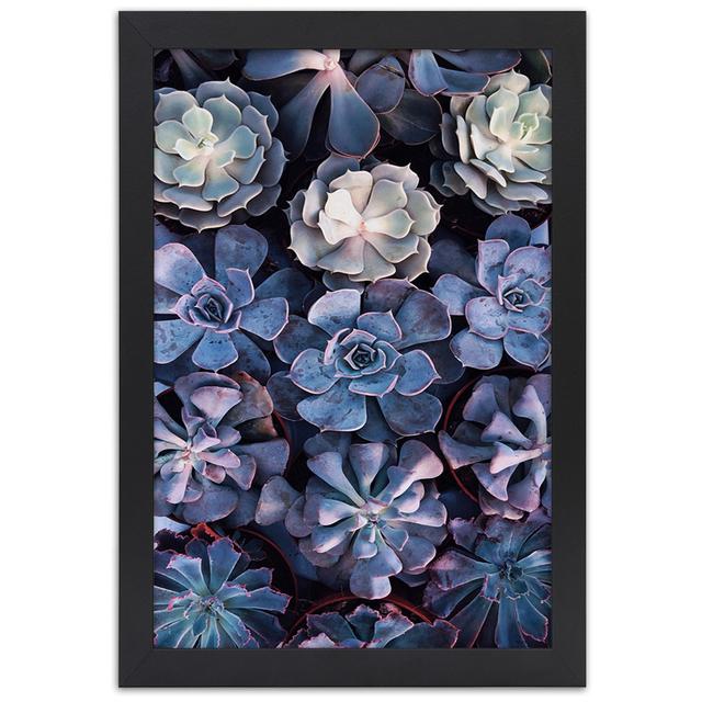 Collection of Succulents - Picture Frame Photograph World Menagerie Size: 100cm H x 70cm W x 2cm D on Productcaster.