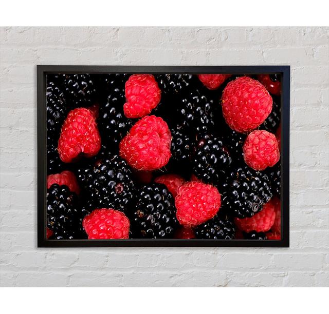 Raspberries N Blackberries Framed Print Ebern Designs Size: 100cm H x 141.4cm W x 3.3cm D on Productcaster.